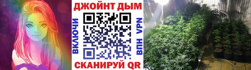 Где можно купить наркотики Шахунья КОКАИН  Меф  ТГК  ГАШИШ  АМФ 