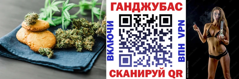 omg маркетплейс Шахунья Canna-Cookies конопля цены наркотик