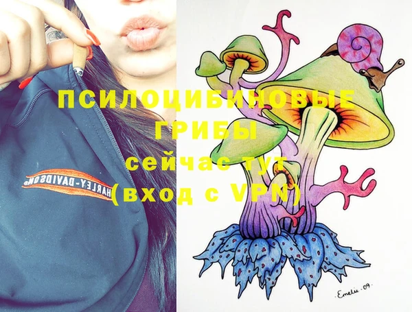 мескалин Покров