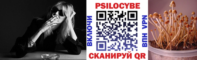 продажа наркотиков  Шахунья  Псилоцибиновые грибы Psilocybine cubensis 
