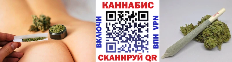 Канабис сатива  Шахунья 